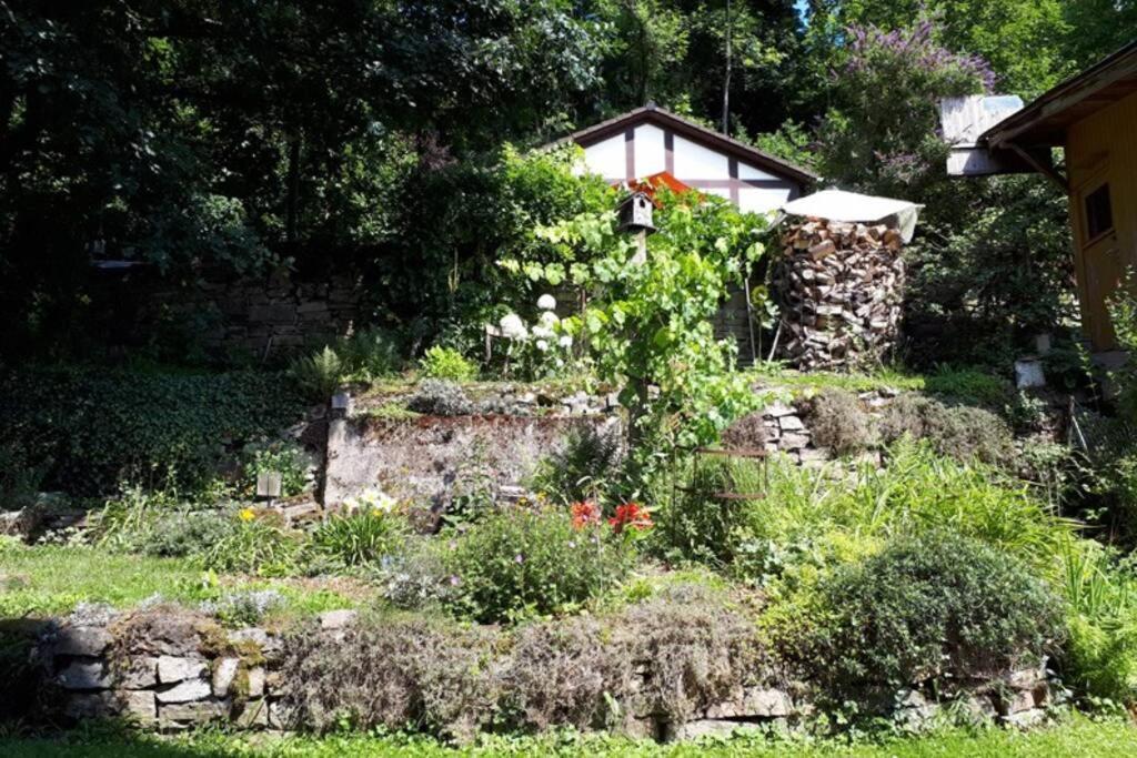 Eine Gemuetliche Ferienwohnung Mit Garten Bad Karlshafen Εξωτερικό φωτογραφία