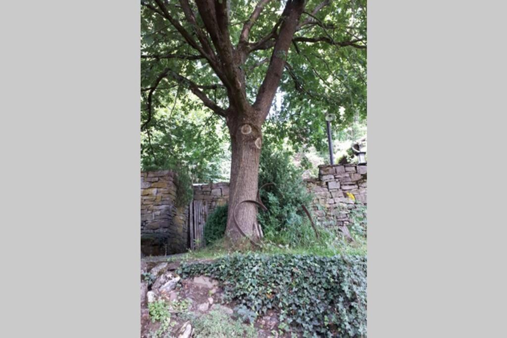 Eine Gemuetliche Ferienwohnung Mit Garten Bad Karlshafen Εξωτερικό φωτογραφία